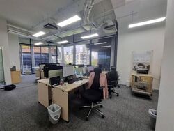 woods-square photo thumbnail #16